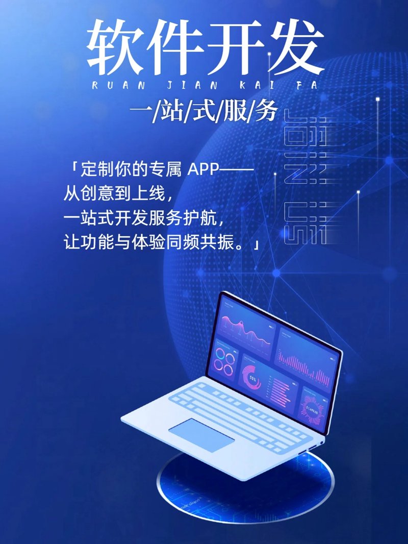 软件定制开发:企业成长的新引擎